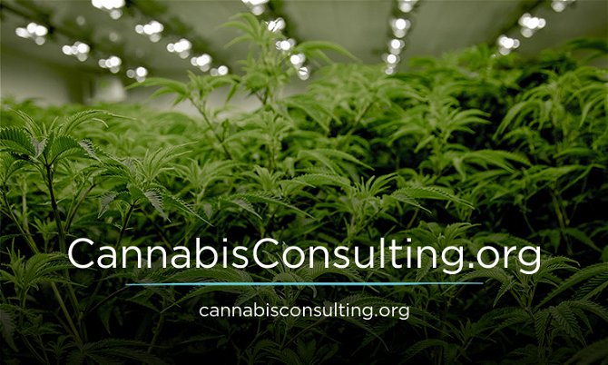 CannabisConsulting.org