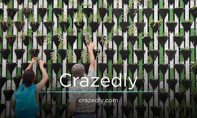 Crazedly.com