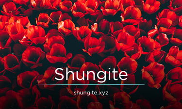 Shungite.xyz - Creative brandable domain for sale