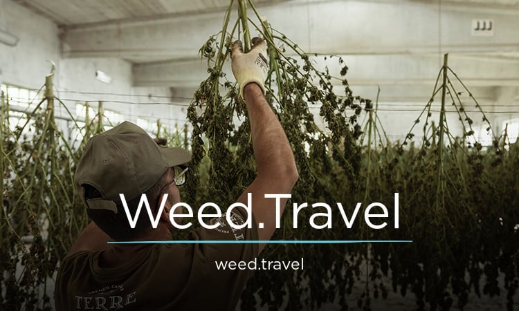 Weed logo