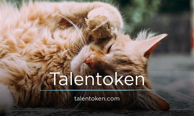 Talentoken.com