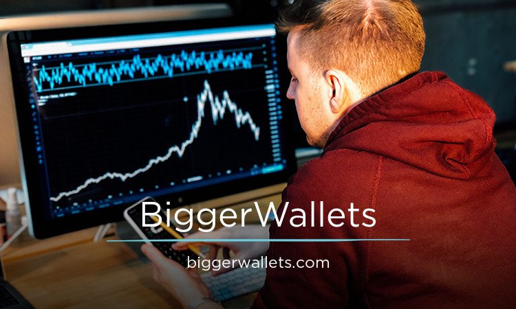 BiggerWallets.com - Creative brandable domain for sale