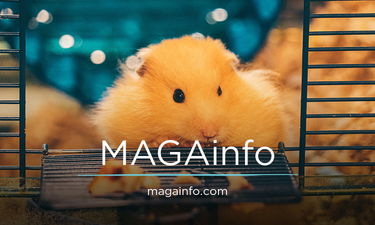MAGAinfo.com - Creative brandable domain for sale