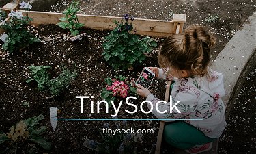 TinySock.com - Creative brandable domain for sale