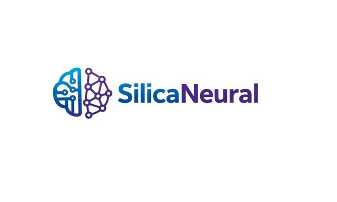 SilicaNeural.com