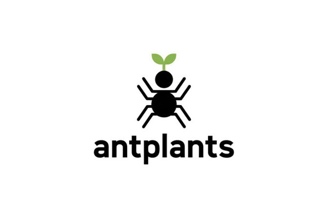 AntPlants.com