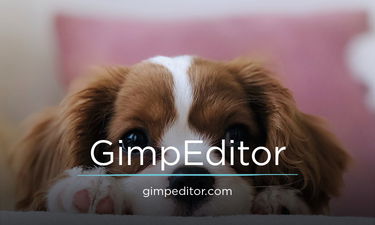 GimpEditor.com - Creative brandable domain for sale
