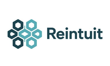 Reintuit.com - Creative brandable domain for sale