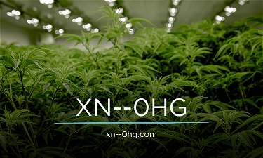 XN--0HG.com