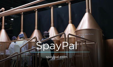 SpayPal.com - Creative brandable domain for sale