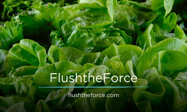 FlushtheForce.com - Creative brandable domain for sale