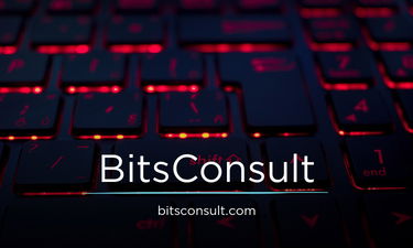 BitsConsult.com