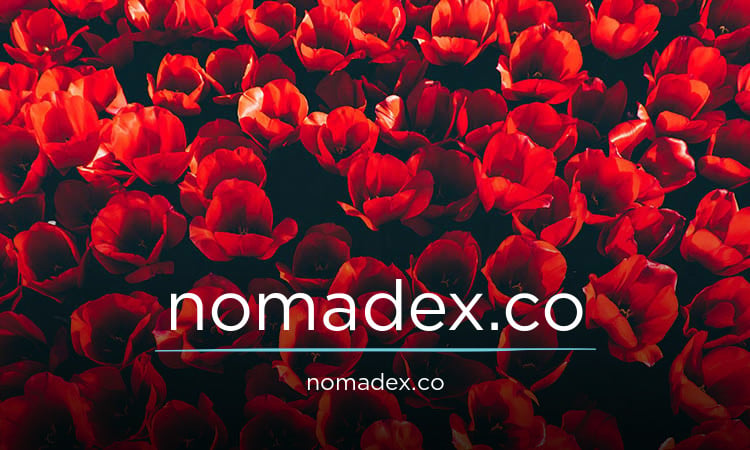 Nomadex logo