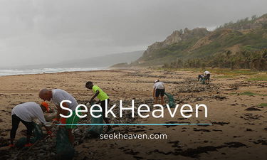 SeekHeaven.com - Creative premium domain names