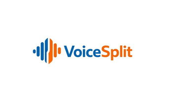 VoiceSplit logo