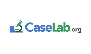 CaseLab.org - Creative brandable domain for sale