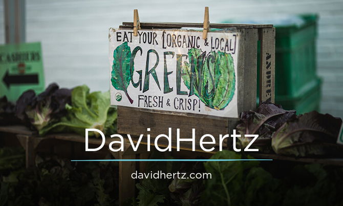 DavidHertz.com