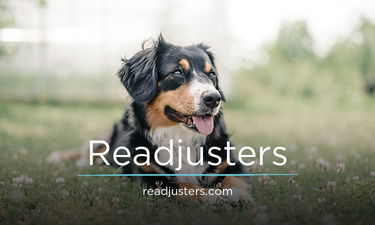Readjusters.com - Creative brandable domain for sale