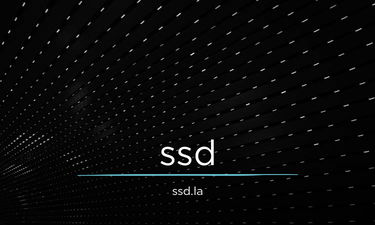 SSD.la - Creative brandable domain for sale
