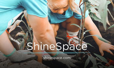 ShineSpace.com - Unique premium domains
