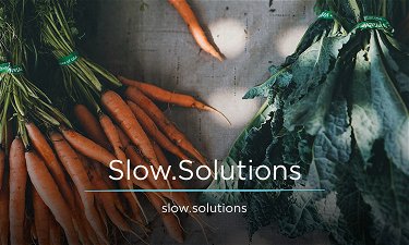 Slow.Solutions - Creative brandable domain for sale