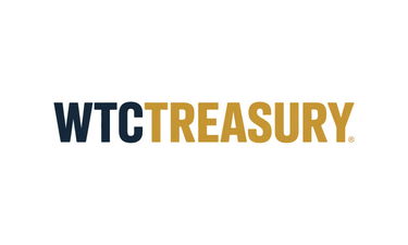 WTCTreasury.com - Creative brandable domain for sale