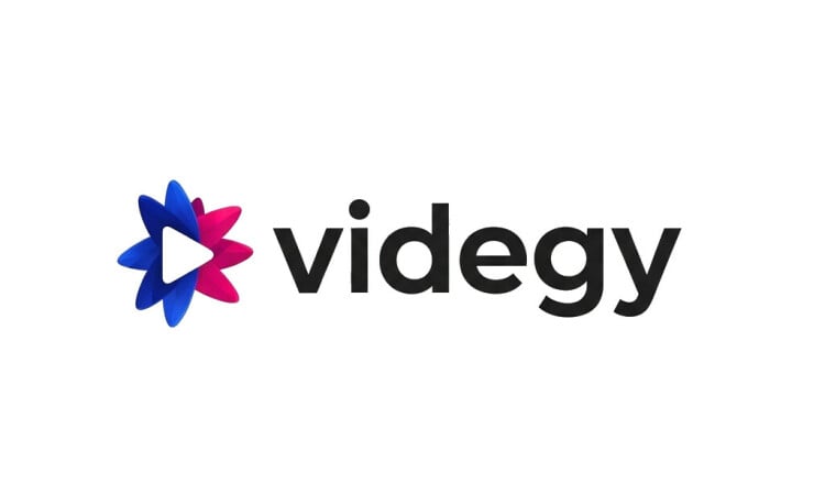 Videgy logo