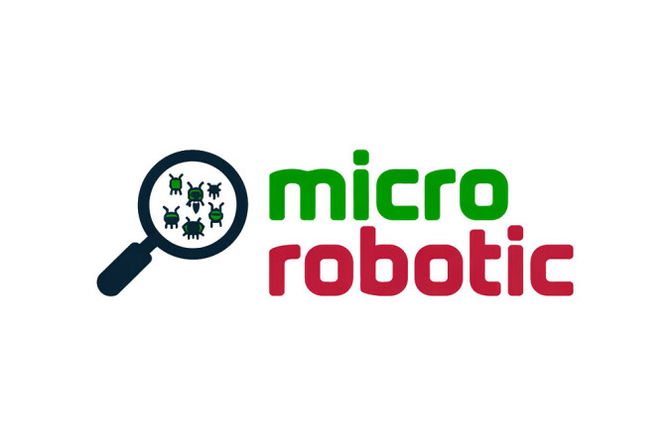 MicroRobotic.com