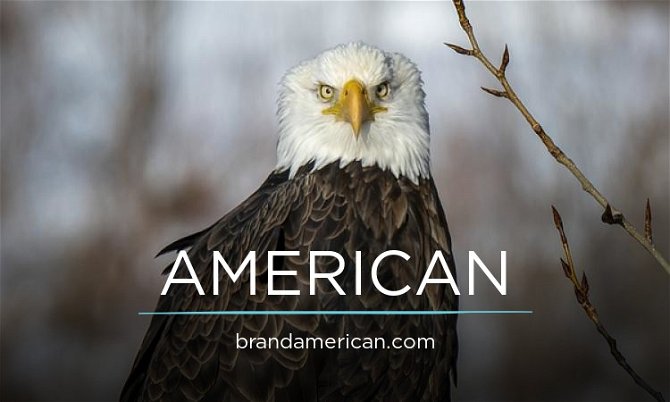 BrandAmerican.com