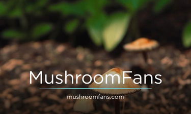 MushroomFans.com - Creative brandable domain for sale