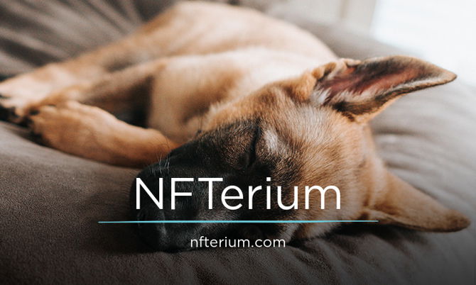 NFTerium.com