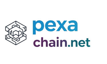 PexaChain.net - Creative brandable domain for sale