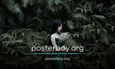 PosterBoy.org - Creative brandable domain for sale