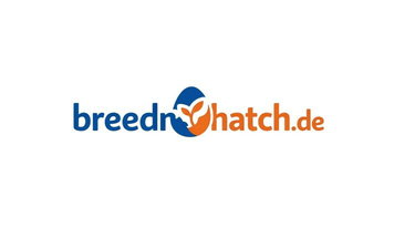 BreedNHatch logo