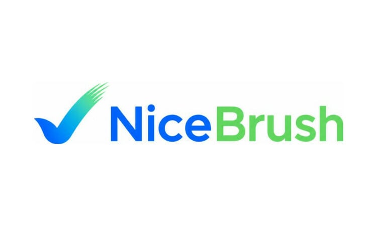 NiceBrush logo