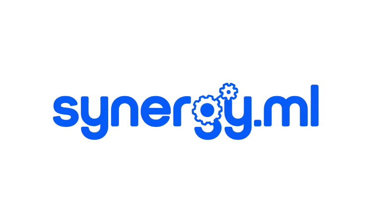 Synergy logo