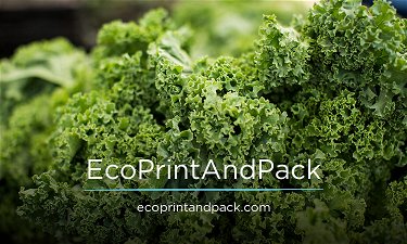 EcoPrintAndPack.com - Creative brandable domain for sale