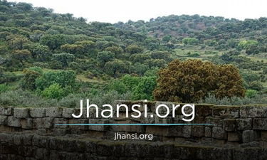 Jhansi.org - Creative brandable domain for sale