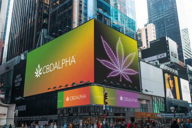 CBDAlpha.com
