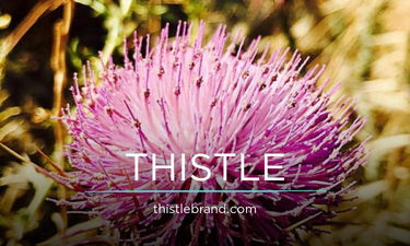 ThistleBrand.com - Creative brandable domain for sale