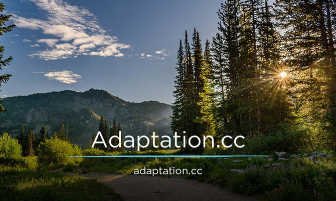 Adaptation.cc