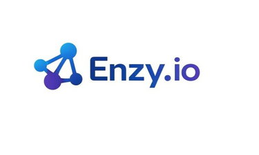 Enzy logo