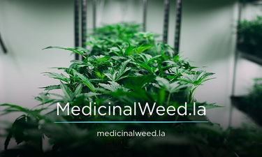 MedicinalWeed.la - Creative brandable domain for sale