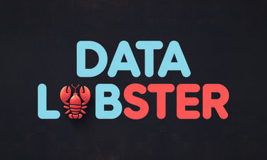 DataLobster.com - Creative brandable domain for sale