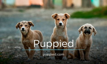 Puppied.com - Creative brandable domain for sale