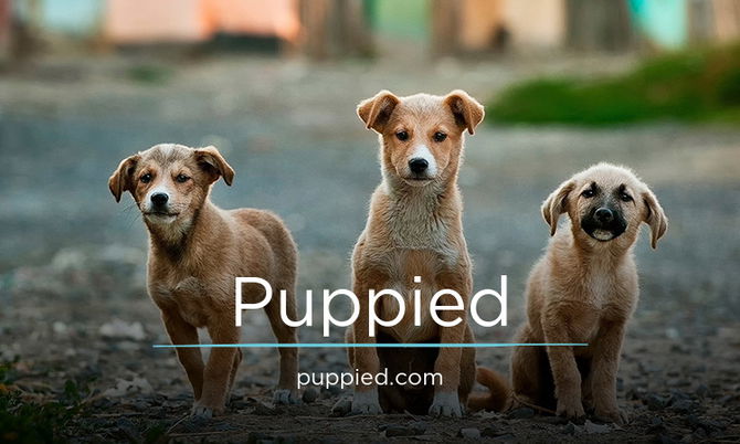 Puppied.com