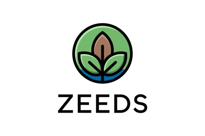 ZeedS.com