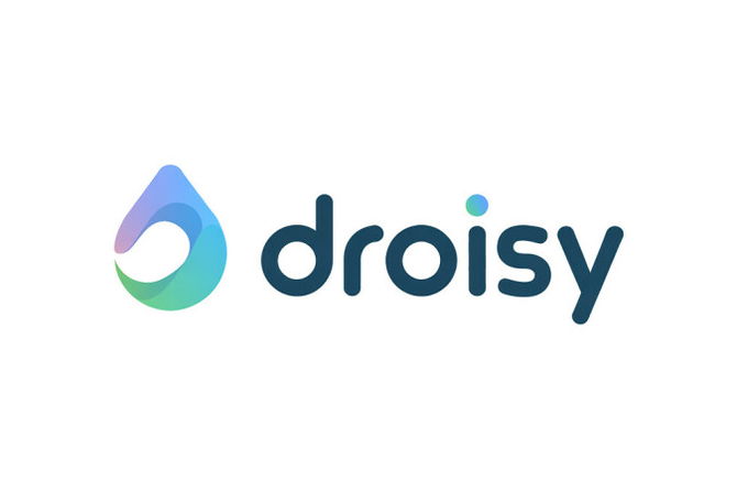 droisy.com