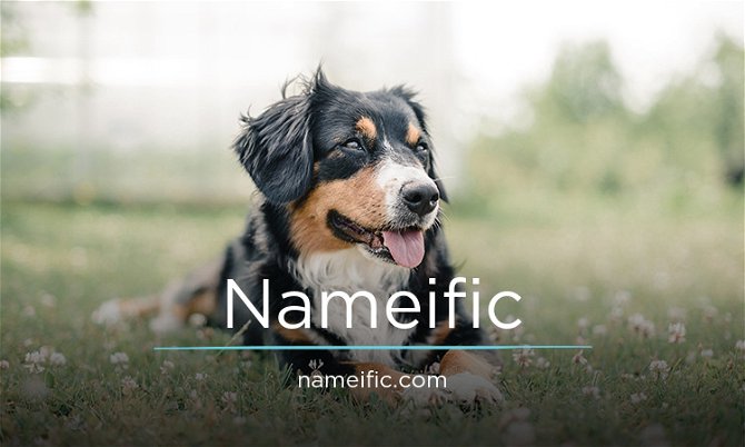 Nameific.com