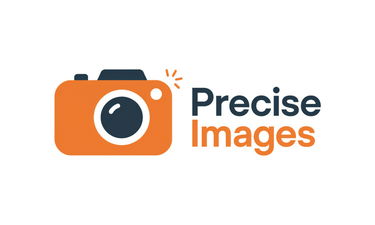PreciseImages.com - Creative brandable domain for sale